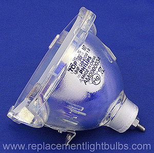 Thompson 61DLW616 Lamp