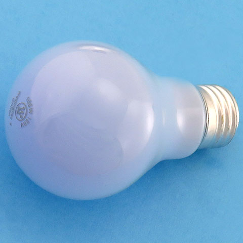 Westinghouse 100A/RNL 100W 120V A19 Natural Light Light Bulb