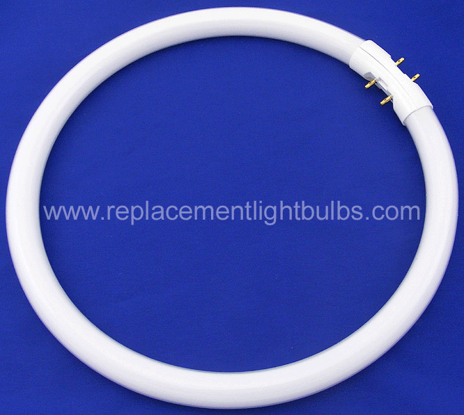 FC22T5/840 22W Circular Fluorescent