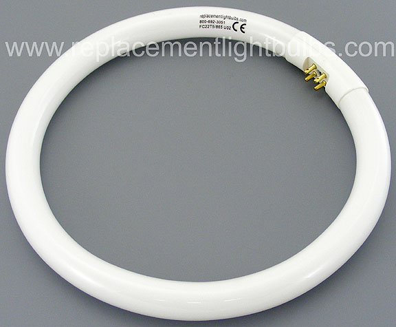 FC22T5/865 6500°K Daylight Circline Fluorescent Lamp, Make Up Mirror, Circular Light Bulb