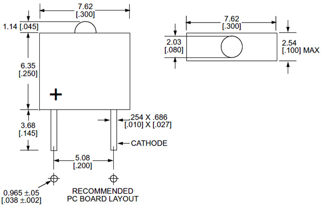 555-3006 Graphic